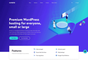 Kinsta hosting